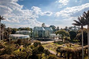 波哥大热带植物园