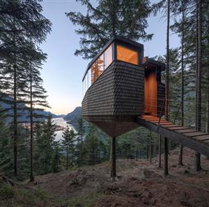 挪威“鸟巢式”小屋，一棵树干支撑起15㎡空间